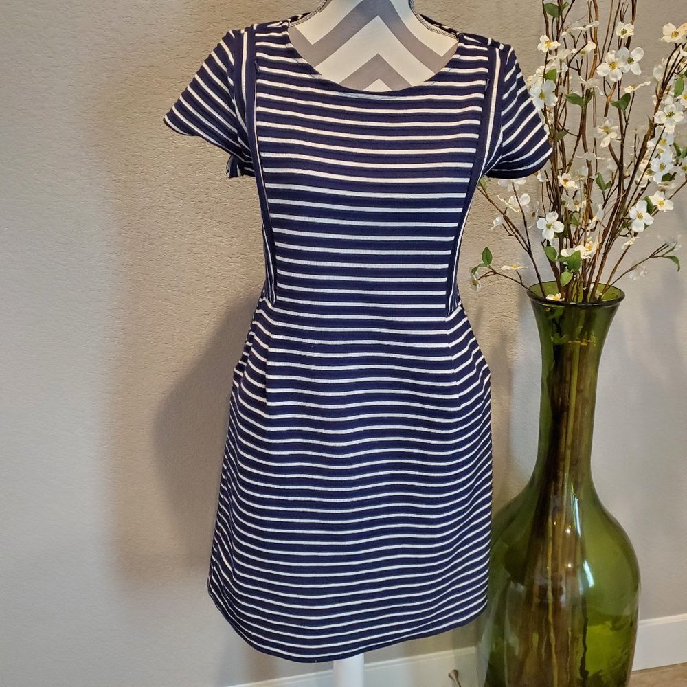 A Pea in the Pod Zip Maternity Dress with Pockets